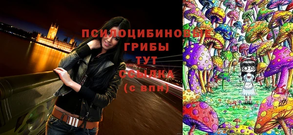 таблы Козельск