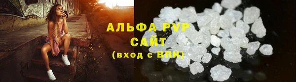 амф Козловка