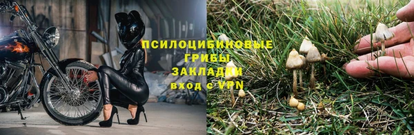 скорость mdpv Киреевск