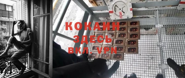 таблы Козельск